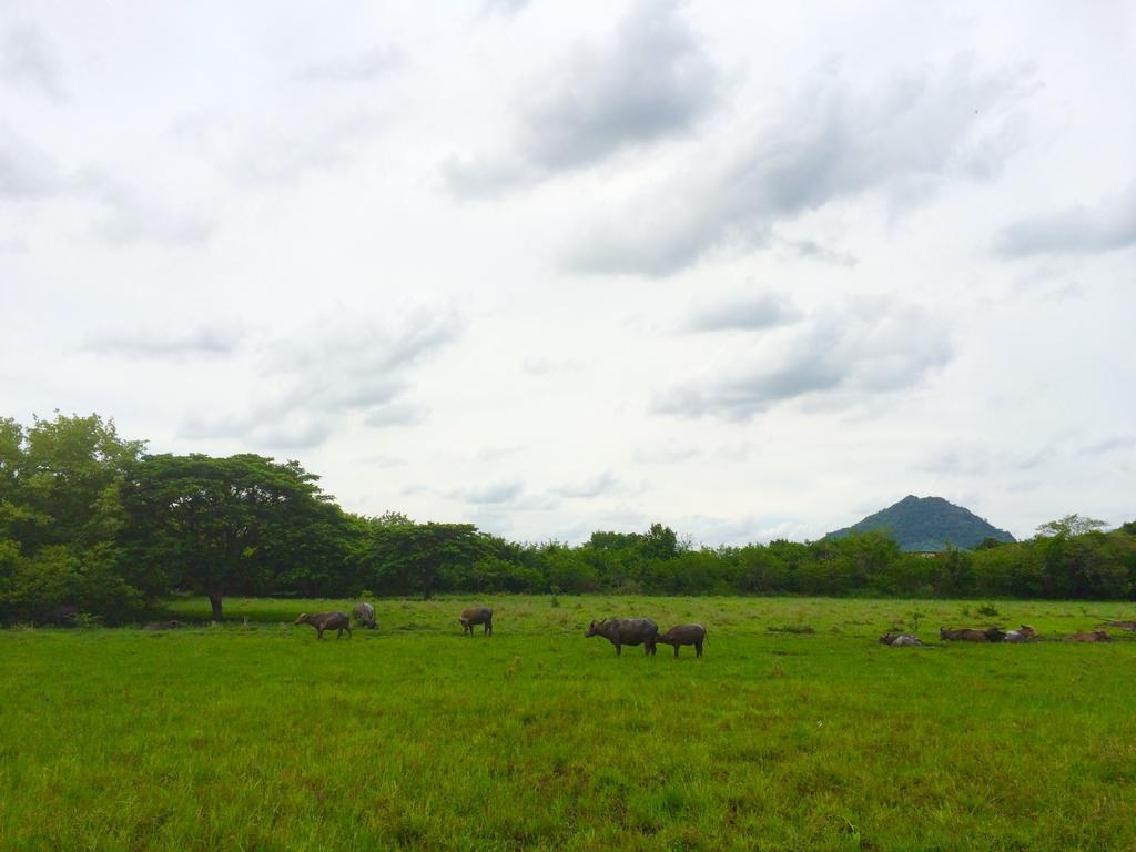 Wanlapa Farmstay Ban Khok Krathiam Exterior photo